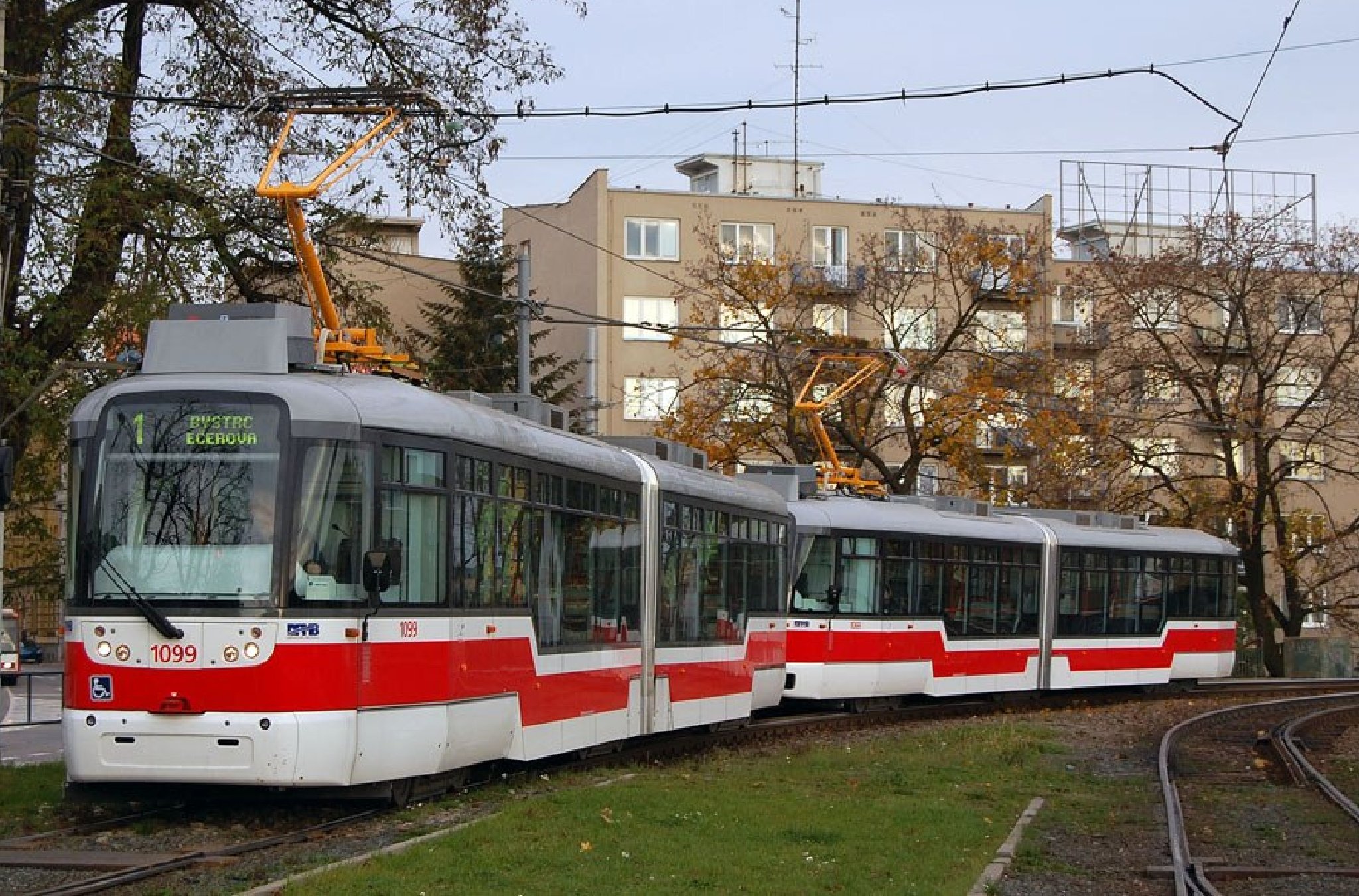 Transition bellows for trams